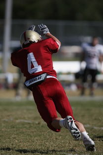 加拿大队引发争议！，姆巴佩官方宣布比赛规则变更新规上演精彩一战